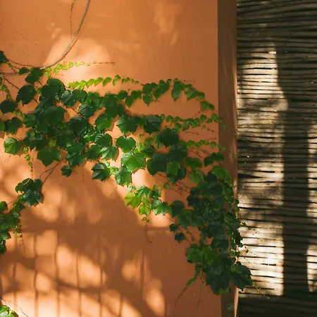 Salobre Resort&serenity Hotel Maspalomas (Gran Canaria)