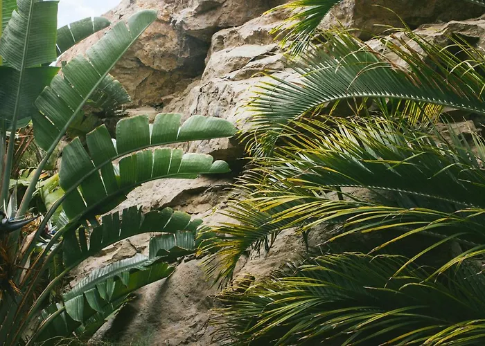 Salobre & Serenity 5*